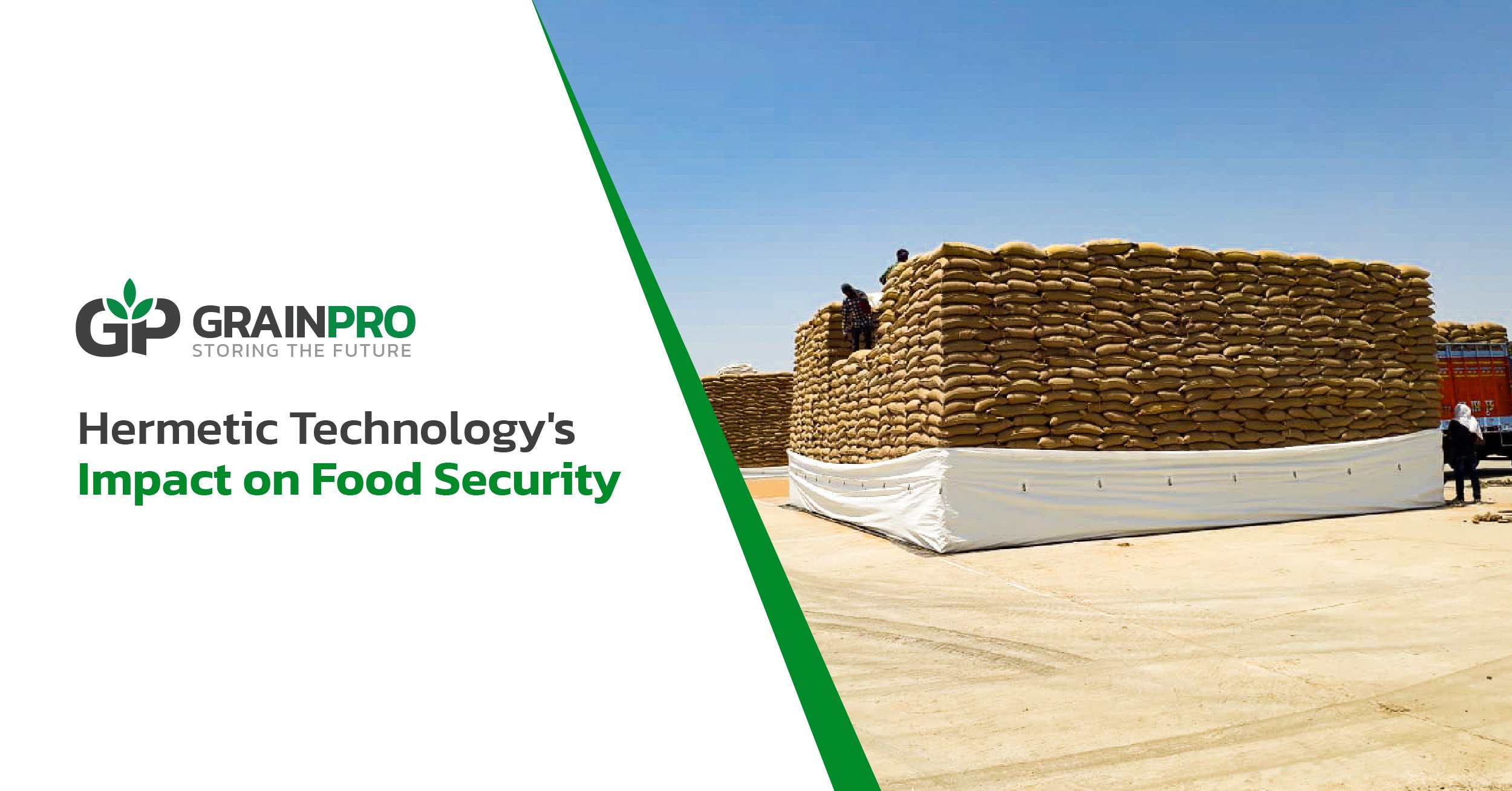 Mistakes You Can't Make When Handling Green Coffee